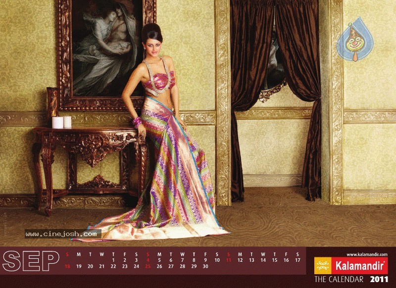 Kalamandir The Calendar 2011 - 13 / 13 photos