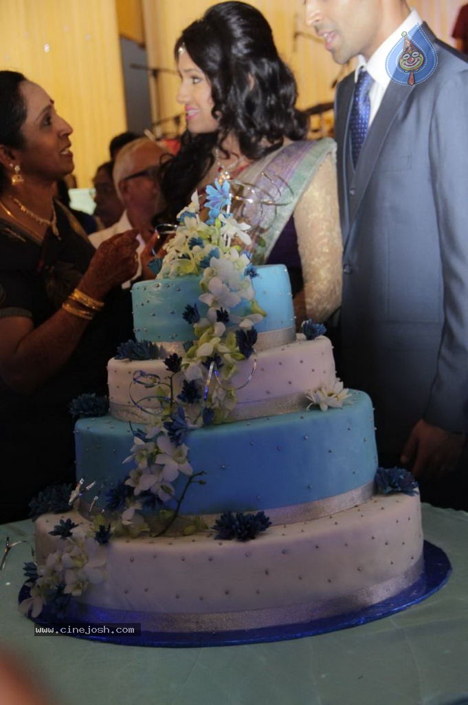 Lakshmi Ramakrishna Daughter Wedding Reception - 11 / 152 photos