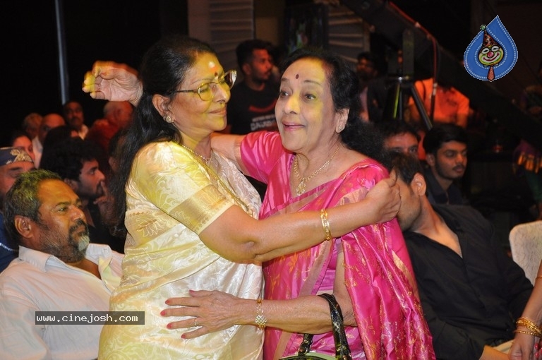 MAA Silver Jubilee Curtain Raiser - 21 / 63 photos