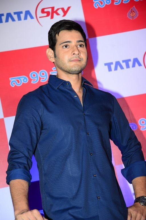 Mahesh Babu at Tata Sky Success Celebrations - 39 / 42 photos