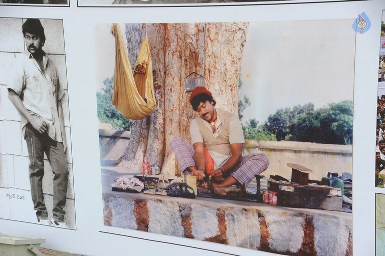 Mega 60 Celebrations 1 - 15 / 42 photos