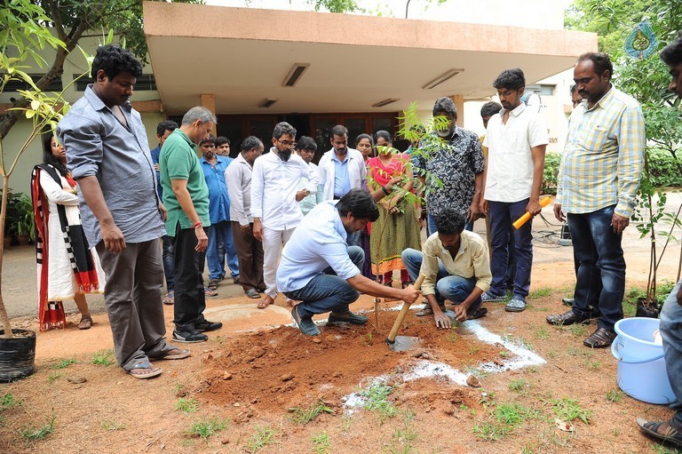 Nani and Majnu Team Participate in Haritha Haram - 4 / 10 photos