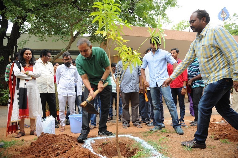 Nani and Majnu Team Participate in Haritha Haram - 8 / 10 photos