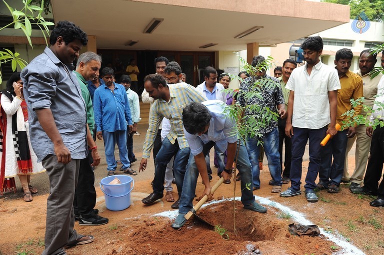 Nani and Majnu Team Participate in Haritha Haram - 9 / 10 photos