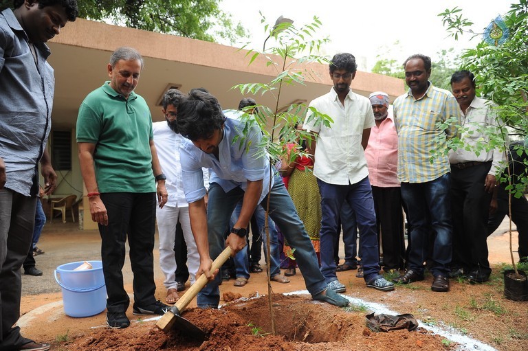 Nani and Majnu Team Participate in Haritha Haram - 10 / 10 photos