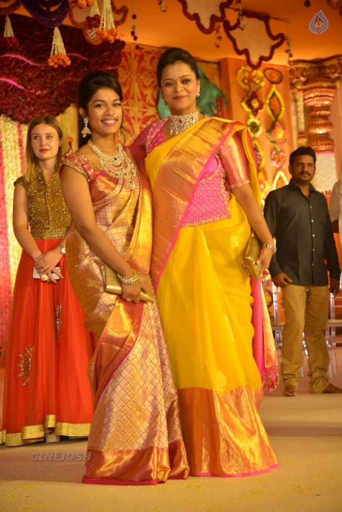 Nimmagadda Prasad Daughter Wedding 1 - 11 / 83 photos