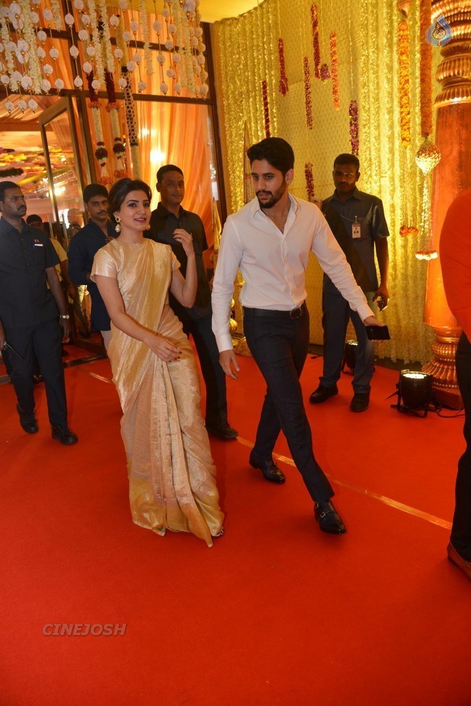 Nimmagadda Prasad Daughter Wedding 1 - 14 / 83 photos