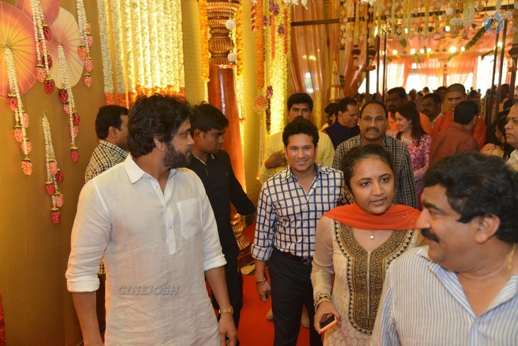 Nimmagadda Prasad Daughter Wedding 1 - 19 / 83 photos