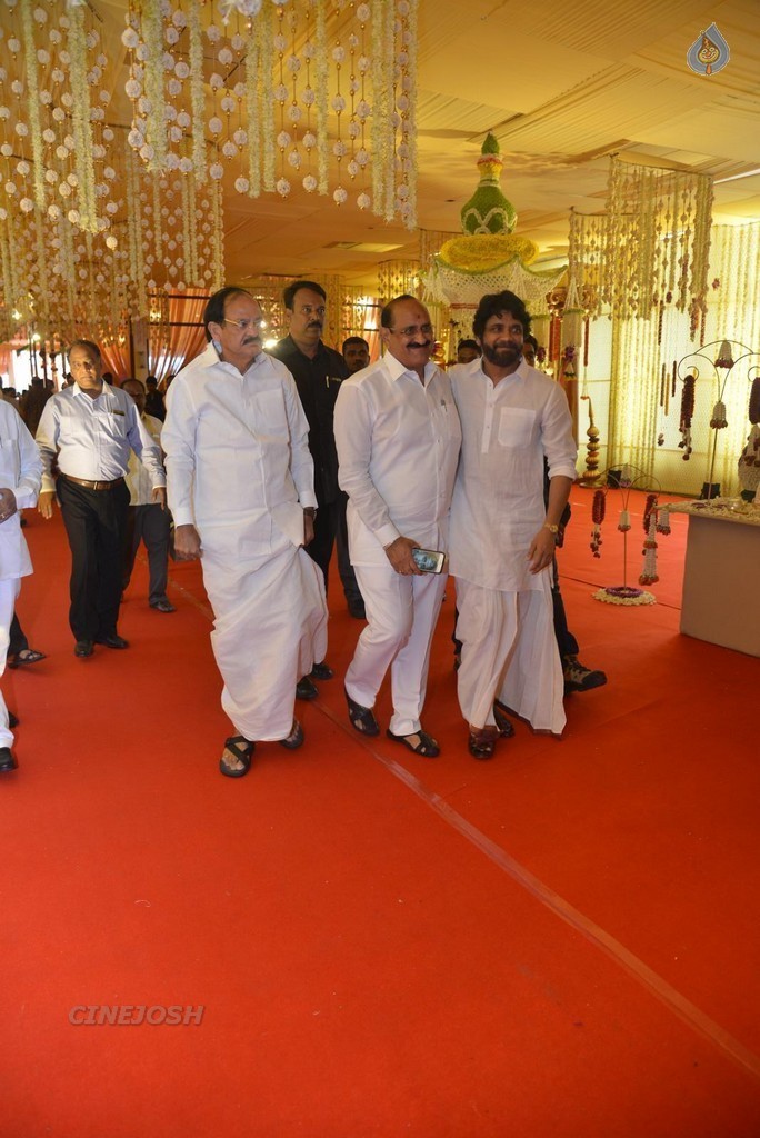 Nimmagadda Prasad Daughter Wedding 1 - 35 / 83 photos