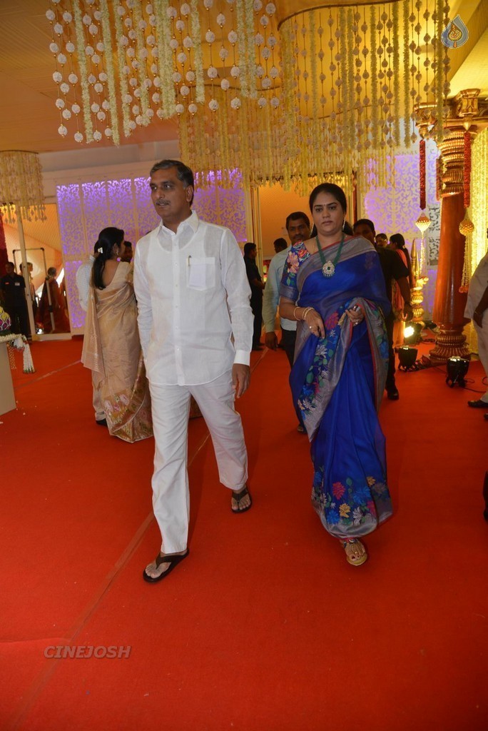 Nimmagadda Prasad Daughter Wedding 1 - 37 / 83 photos