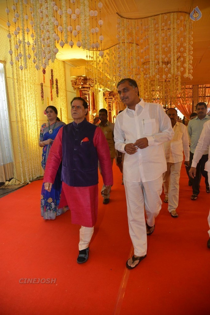 Nimmagadda Prasad Daughter Wedding 1 - 58 / 83 photos