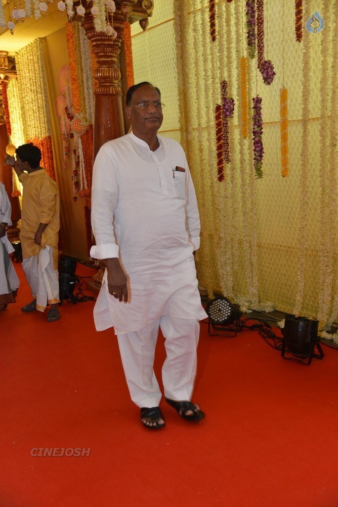 Nimmagadda Prasad Daughter Wedding 1 - 83 / 83 photos