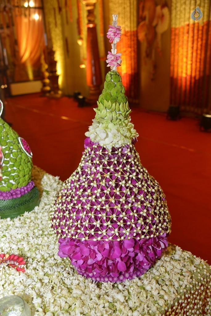 Nimmagadda Prasad Daughter Wedding Photos 2 - 33 / 78 photos