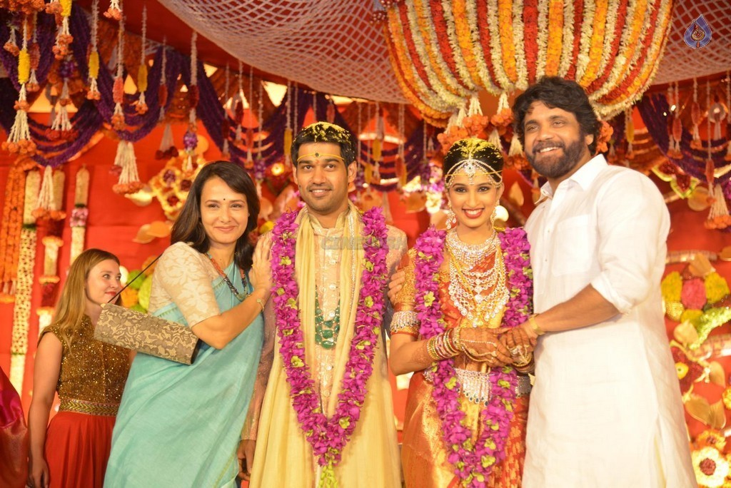 Nimmagadda Prasad Daughter Wedding Photos 2 - 53 / 78 photos