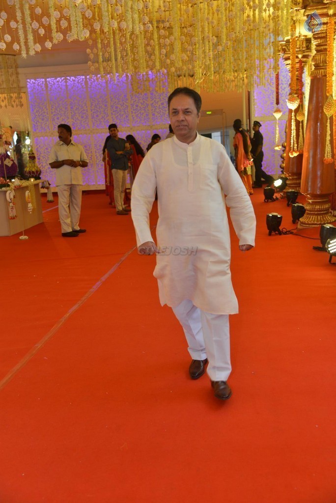 Nimmagadda Prasad Daughter Wedding Photos 2 - 62 / 78 photos