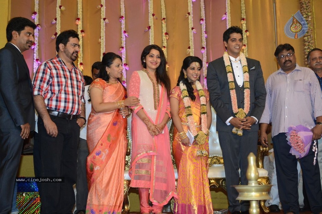 Palam Silks Daughter Reception Photos - 28 / 42 photos