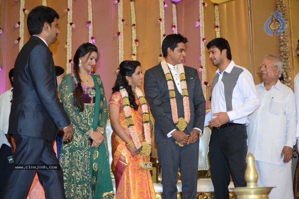 Palam Silks Daughter Reception Photos - 29 / 42 photos