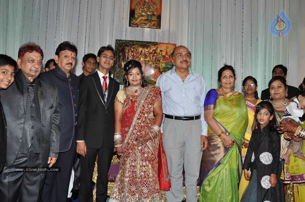 Producer Paras Jain Daughter Wedding Photos - 26 / 27 photos