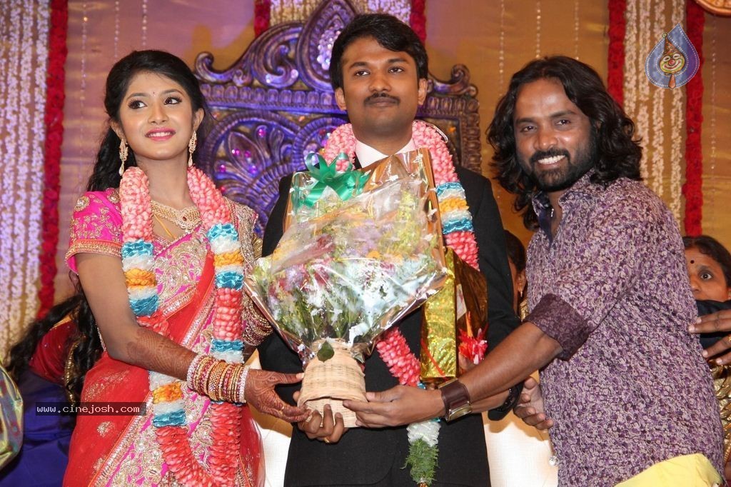 Raj TV MD Daughter Marriage Reception - 13 / 53 photos