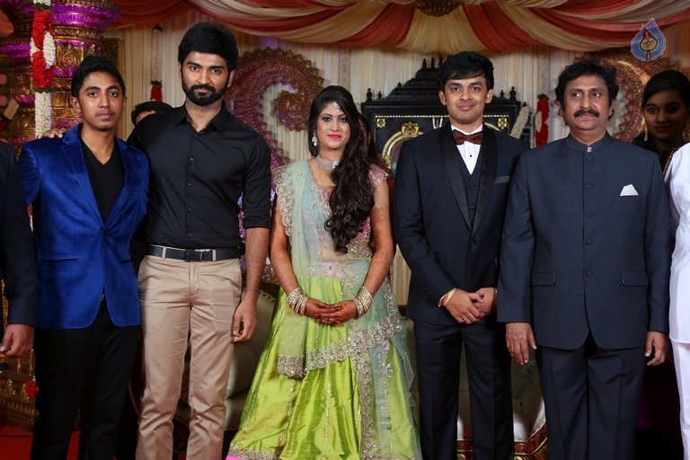 Raviprasad Grand Daughter Wedding Photos - 1 / 34 photos