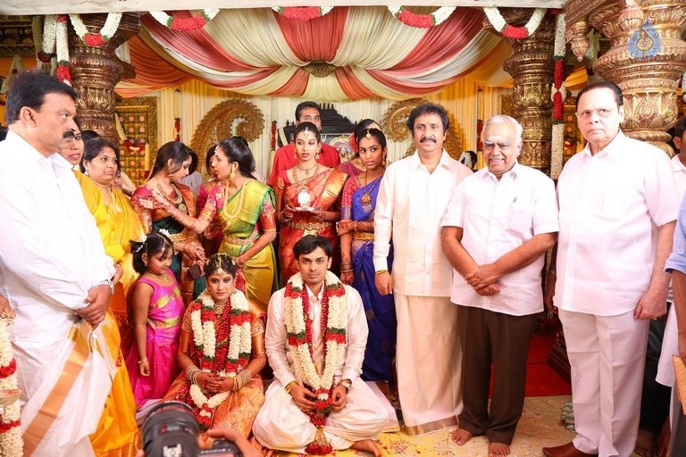 Raviprasad Grand Daughter Wedding Photos - 7 / 34 photos