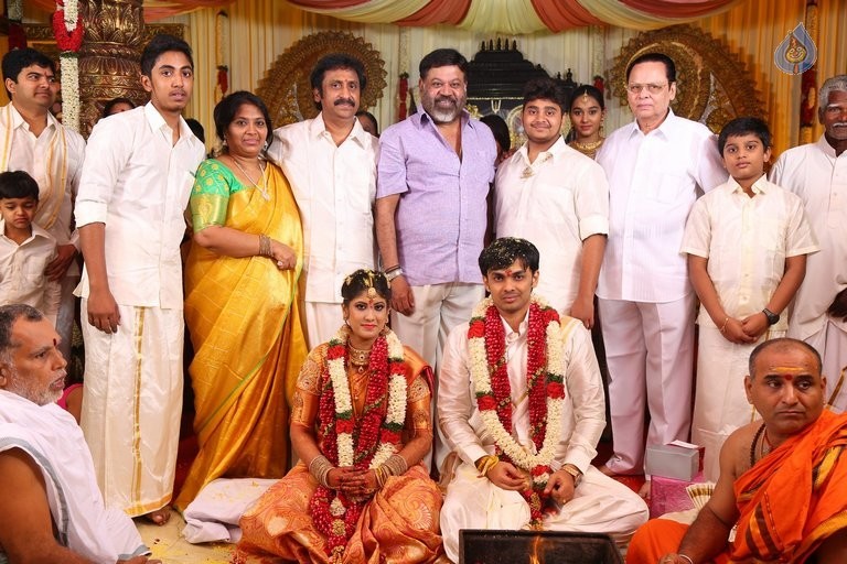 Raviprasad Grand Daughter Wedding Photos - 10 / 34 photos