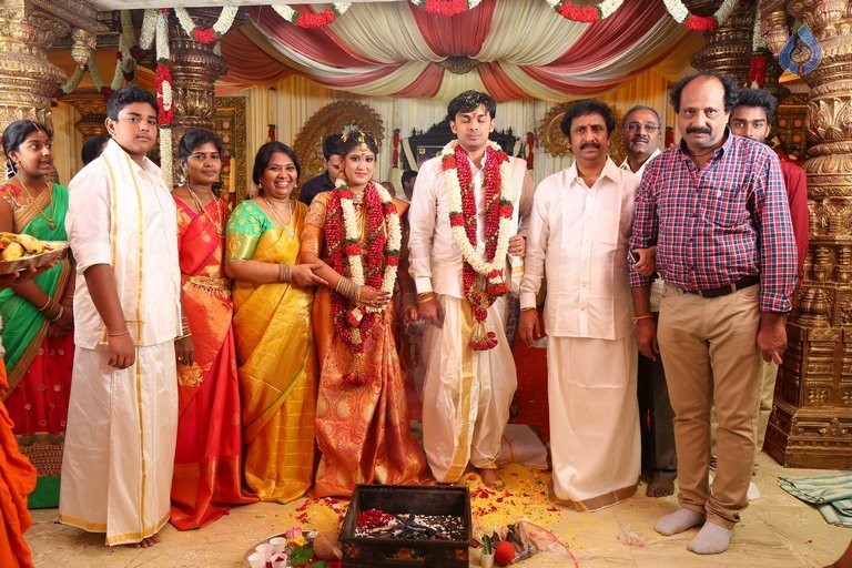 Raviprasad Grand Daughter Wedding Photos - 22 / 34 photos