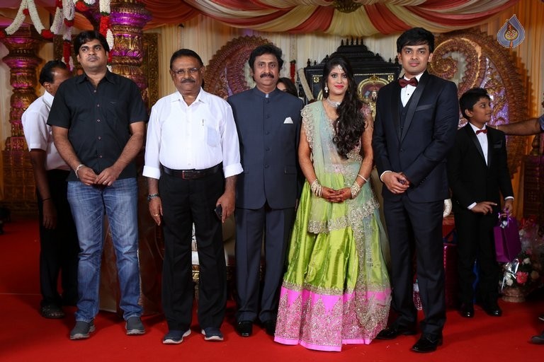 Raviprasad Grand Daughter Wedding Photos - 27 / 34 photos