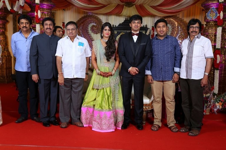 Raviprasad Grand Daughter Wedding Photos - 31 / 34 photos
