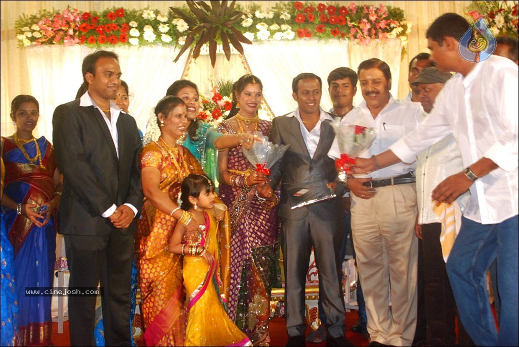 Senthil Son Wedding Reception Photos - 23 / 88 photos