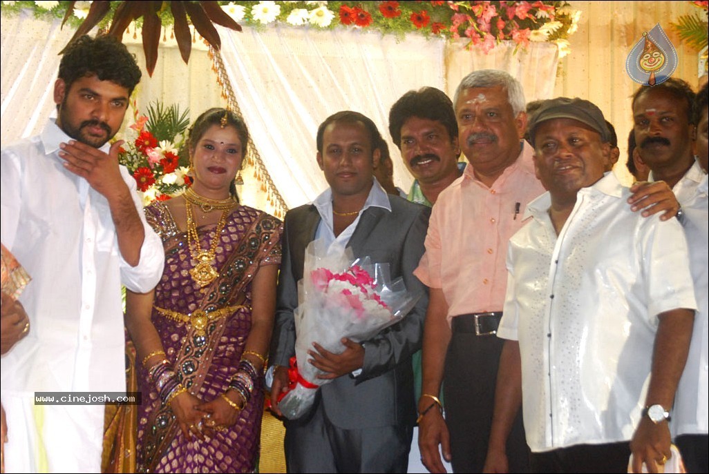 Senthil Son Wedding Reception Photos - 29 / 88 photos