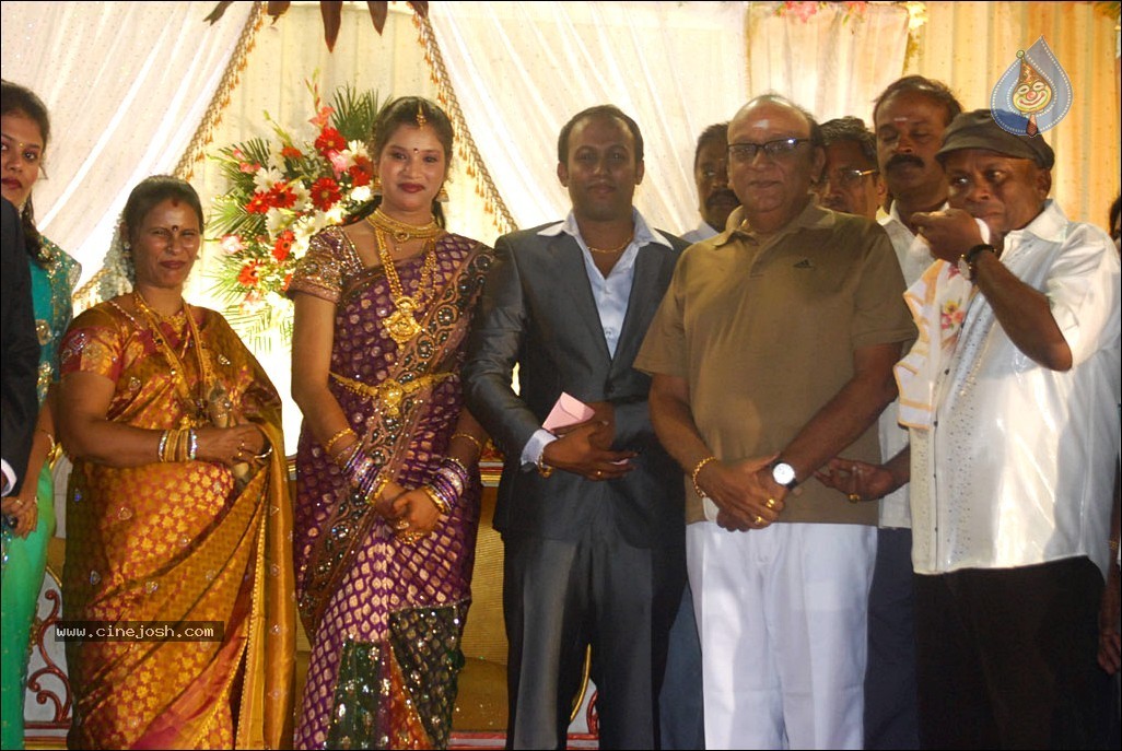 Senthil Son Wedding Reception Photos - 35 / 88 photos