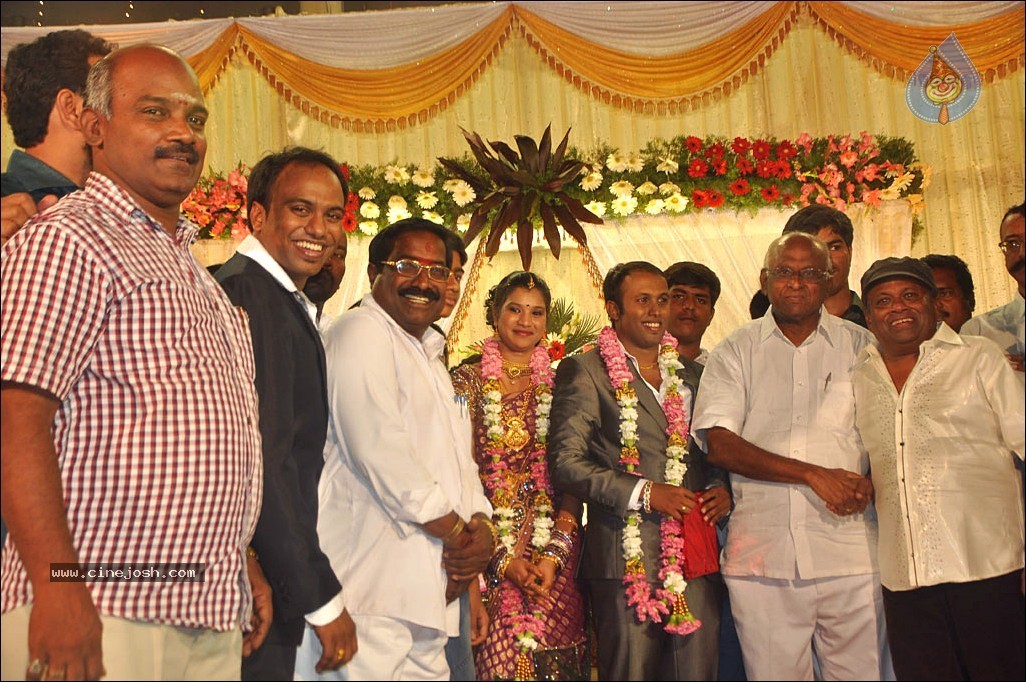 Senthil Son Wedding Reception Photos - 38 / 88 photos