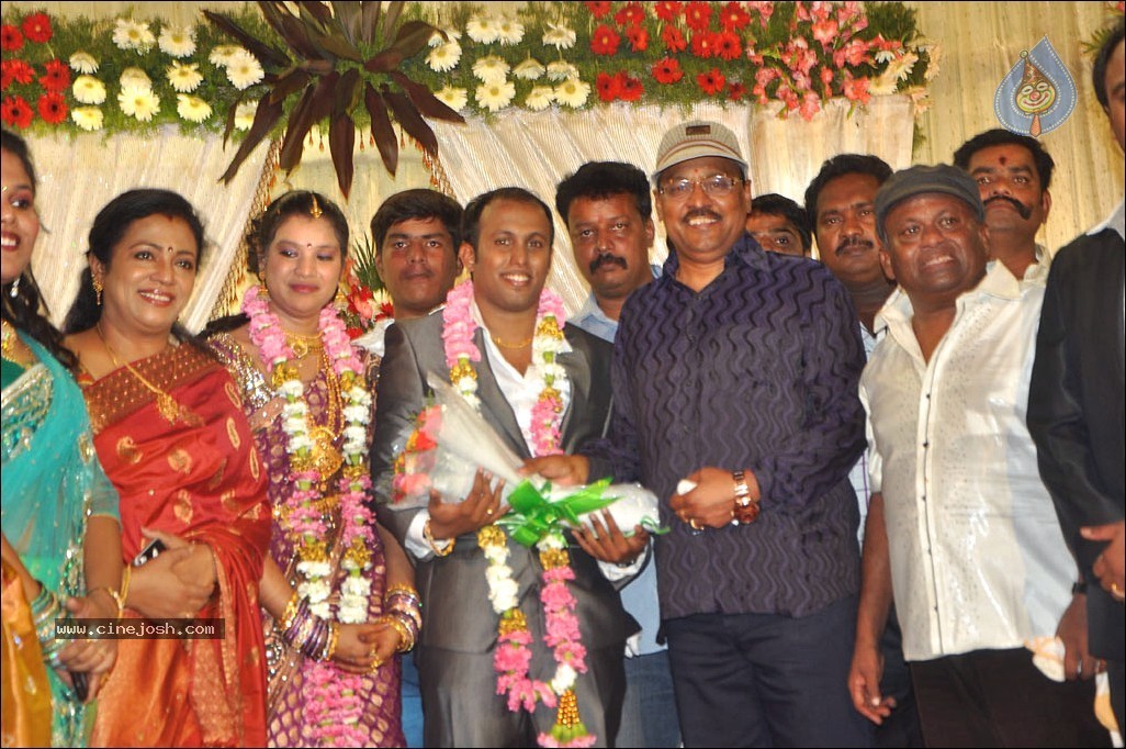 Senthil Son Wedding Reception Photos - 54 / 88 photos