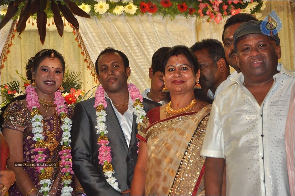 Senthil Son Wedding Reception Photos - 55 / 88 photos
