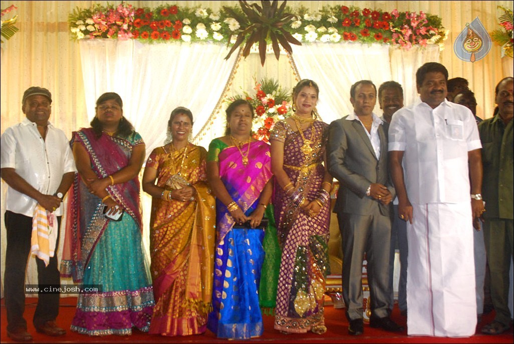 Senthil Son Wedding Reception Photos - 59 / 88 photos