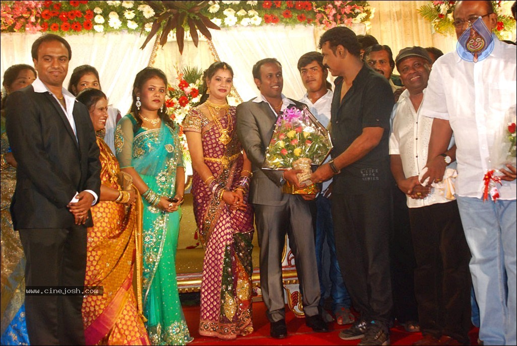 Senthil Son Wedding Reception Photos - 60 / 88 photos