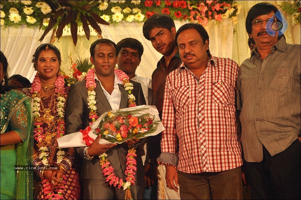 Senthil Son Wedding Reception Photos - 61 / 88 photos
