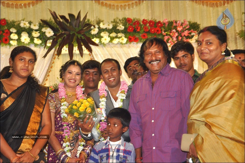 Senthil Son Wedding Reception Photos - 64 / 88 photos