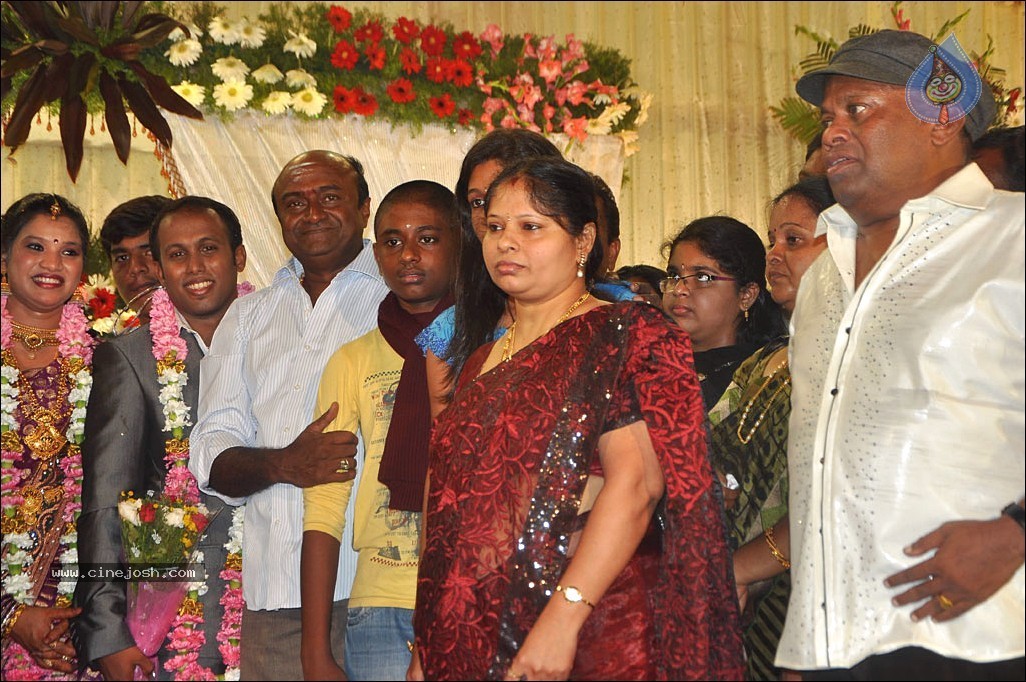 Senthil Son Wedding Reception Photos - 68 / 88 photos