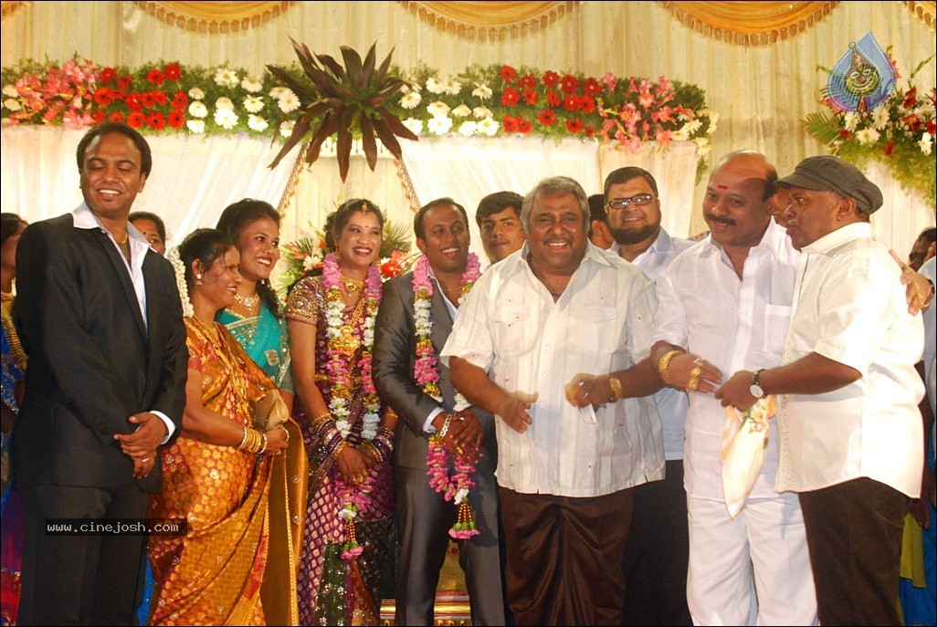 Senthil Son Wedding Reception Photos - 74 / 88 photos