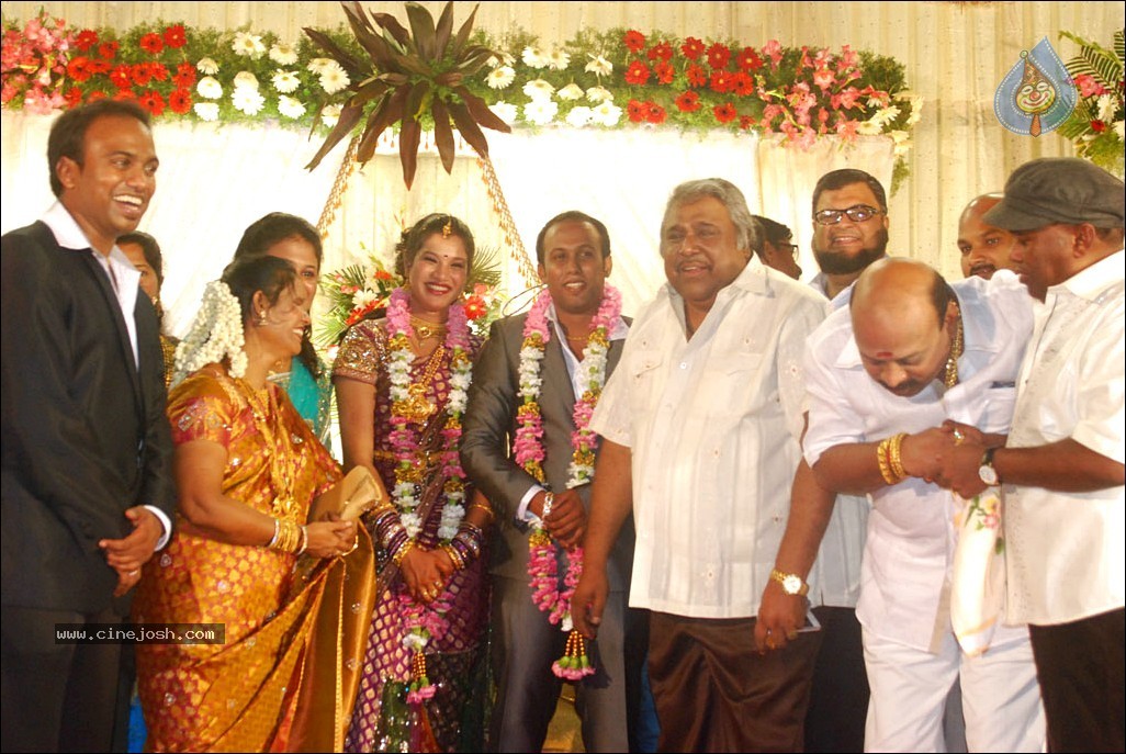 Senthil Son Wedding Reception Photos - 79 / 88 photos