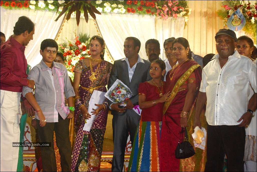 Senthil Son Wedding Reception Photos - 83 / 88 photos