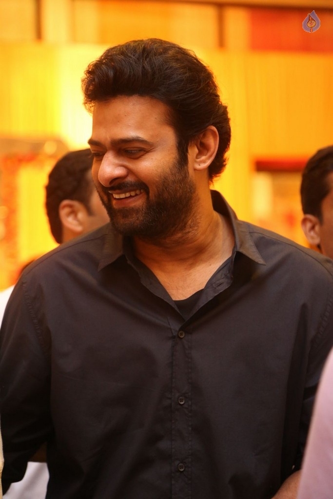 Shyam Prasad Reddy Daughter Wedding Photos 1 - 50 / 123 photos