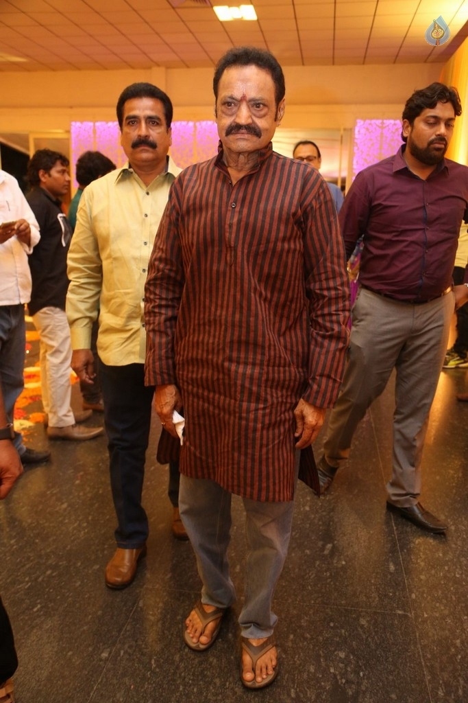 Shyam Prasad Reddy Daughter Wedding Photos 1 - 57 / 123 photos