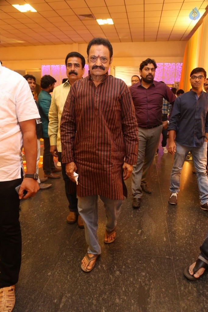 Shyam Prasad Reddy Daughter Wedding Photos 1 - 62 / 123 photos