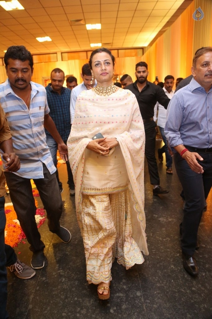 Shyam Prasad Reddy Daughter Wedding Photos 1 - 92 / 123 photos