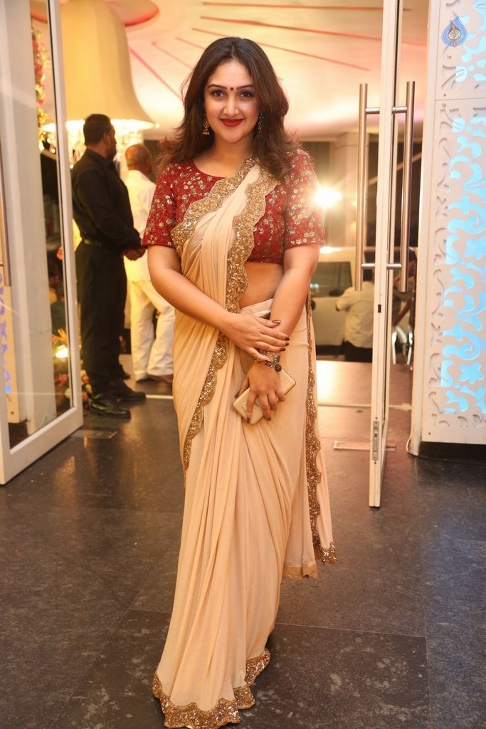 Shyam Prasad Reddy Daughter Wedding Photos 1 - 94 / 123 photos