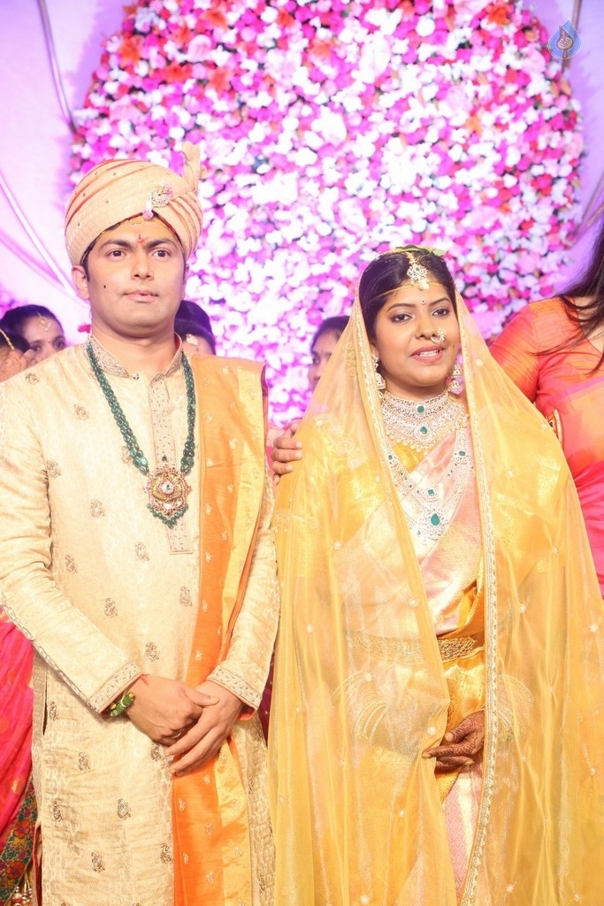 Shyam Prasad Reddy Daughter Wedding Photos 3 - 84 / 84 photos