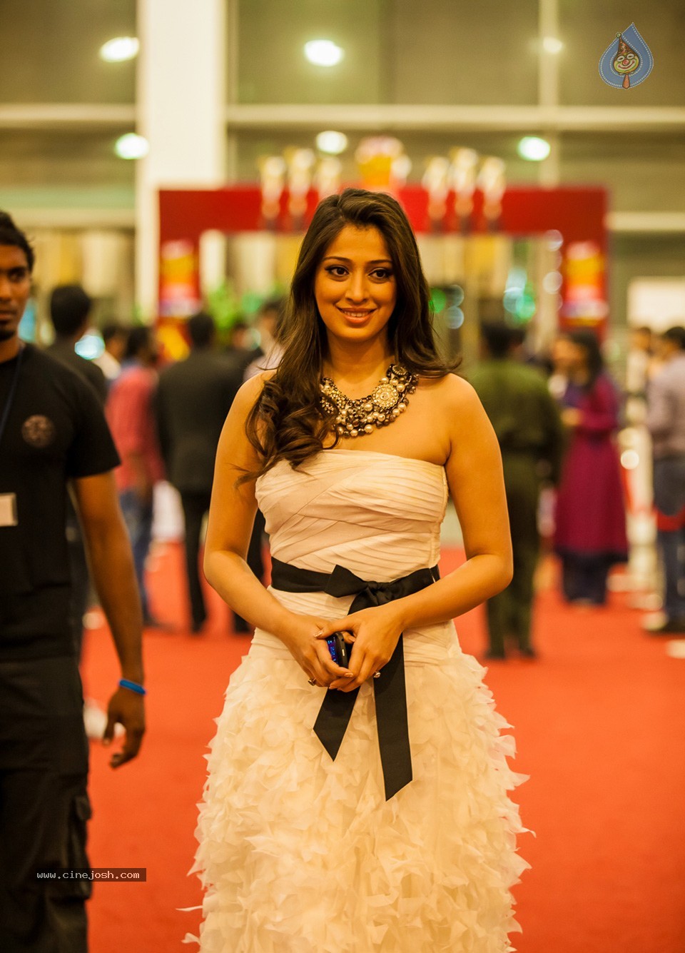 SIIMA 2013 Awards Day2 Photos 01 - 66 / 153 photos